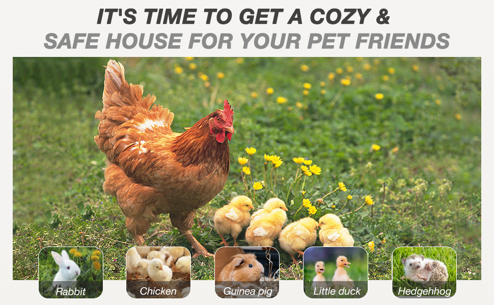 MEDEHOO Large Chicken Coop with Wheels, Expandable Chicken