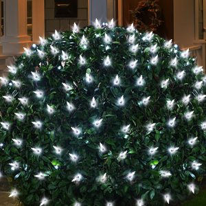 Outdoor web lights