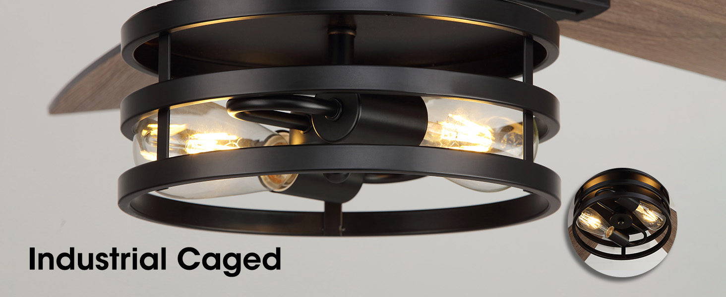 ceiling fan with lights