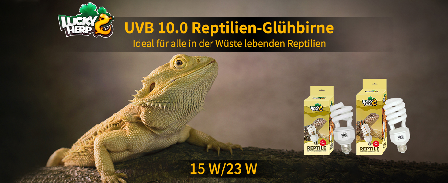 UVB 10.0 Reptilien-Wärmelampe für Terrarien, 15W/23W Auf der Produktverpackung ist eine Bartagameidechse abgebildet. Ideal für Reptilien, die in der Wüste leben