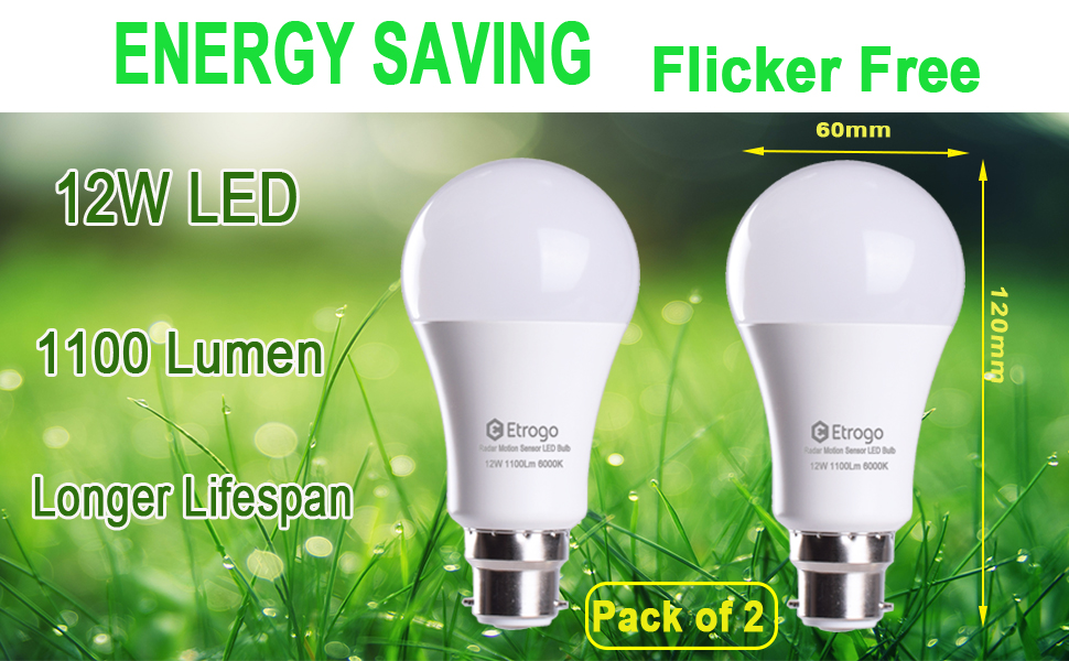 motion sensor led bulb edison