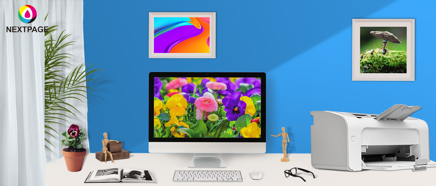 NEXTPAGE Cartuchos de tinta CLI42 Y de substituição compatíveis com cartuchos de tinta amarela Canon CLI42 CLI-42 Professional Canon Pixma PRO-100, cartuchos de tinta Canon CLI 42 Y pacote com 2