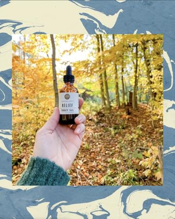 turkey tail mushroom, mushroom extract, mushroom tincture, holistic tincture