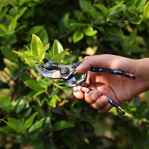 DEWINNER Ensemble D'Outils De Jardin, 3 Pièces Lady Main Plantation Jardinage Cadeau, Poignée Ergonomique, Succulent Bonsaï Lady Plante Outil, Sécateur, Pelles,râteau à Main 13 Sécateur