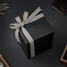 watch winder for automatic watches