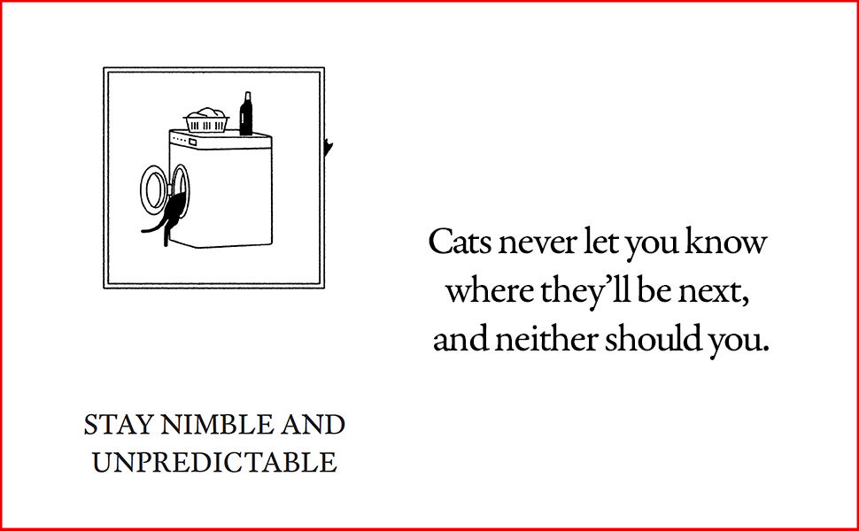 cats1