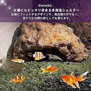 Amazon | Archnote 爬虫類 レオパ シェルター トカゲ カナヘビ