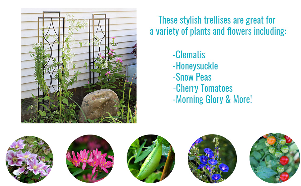 Trellises