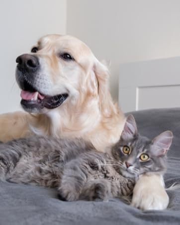 petformance benessere per cani e gatti