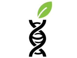 Small manufacture image 7