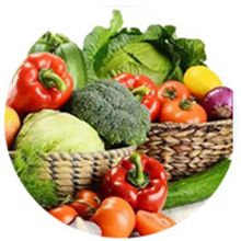 VACUUM SEALER MACHINE 7 Vacuum Sealing Machine