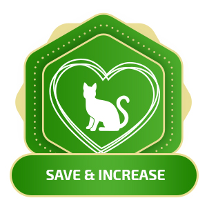 homeopet nose relief for cats, dewormer for kittens, antibiotics for cats,