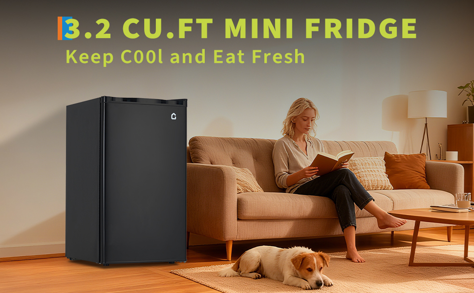 3.2 Cu. Ft. Compact Refrigerator 1