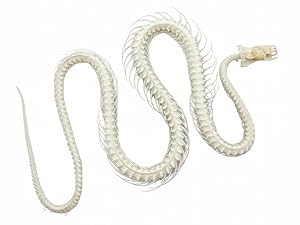 Small manufacture image 6