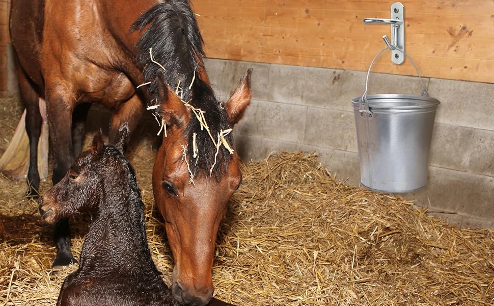 Wenyrich 8 Pcs Equestrian Bucket Hook Hangers Metal Horse