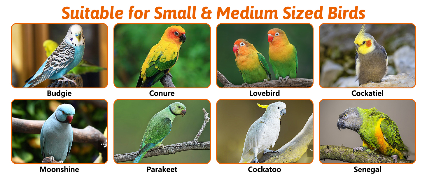Perfect for budgies, cockatiels, lovebirds,Conures and other similar sized birds