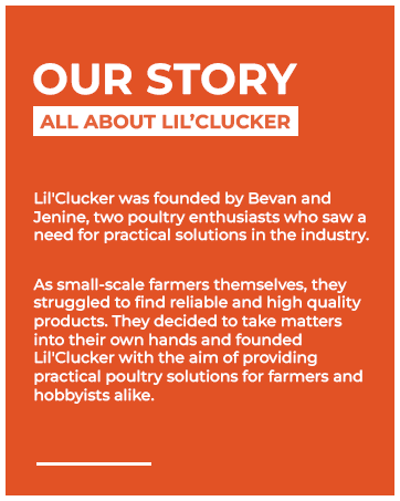 All About Lil'Clucker, Lil Clucker Poultry Solution, Poultry Store, Poultry Company