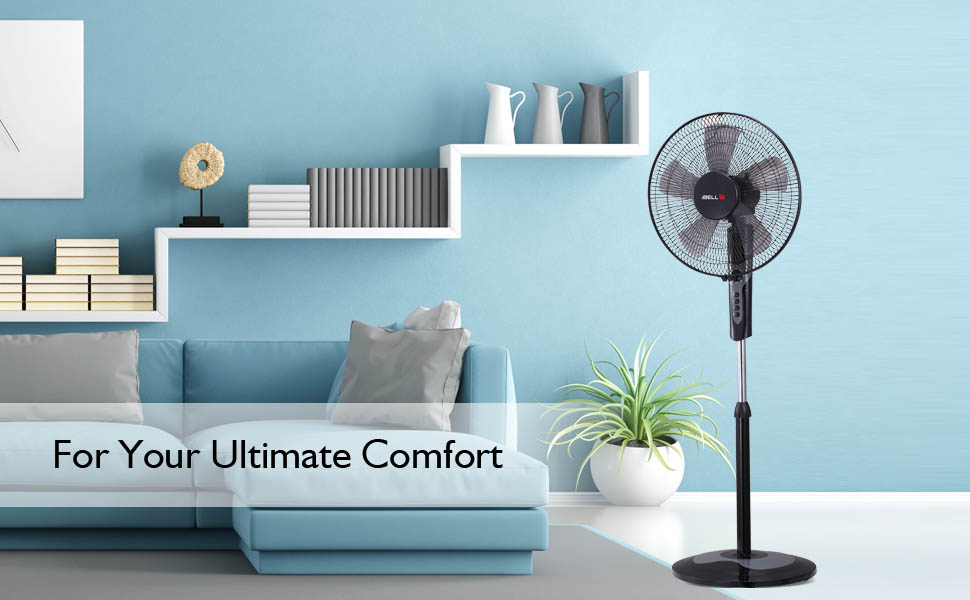 iBELL CHROME10 Five Leaf Pedestal Fan with Timer, High Speed Motor - Black
