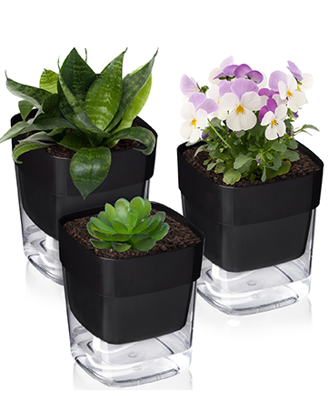 Plant Pots