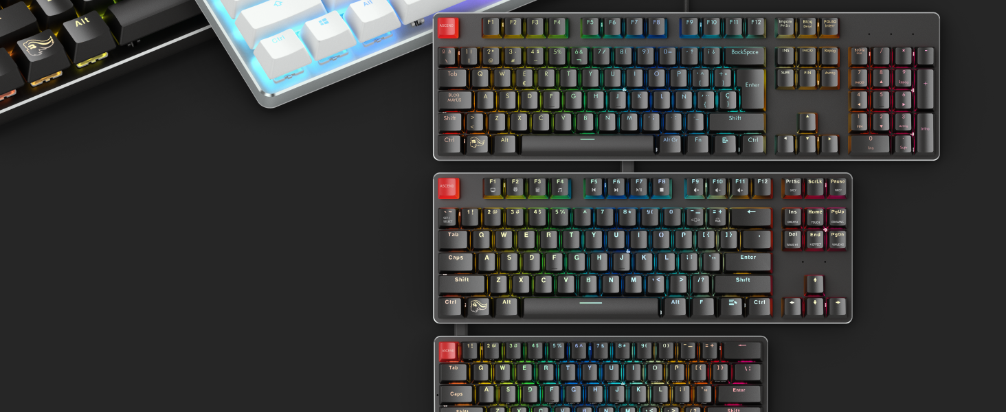 Glorious Gaming GMMK, Mechanisches Gaming-Keyboard, Gateron Brown Schalter, Doubleshot-Kappen