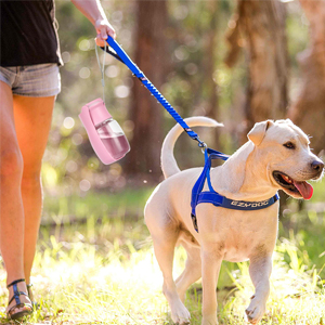 犬ウォーターボトル