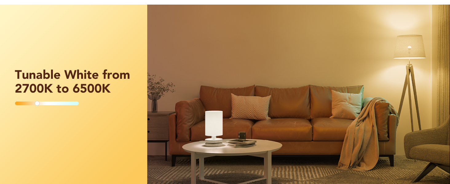 Govee RGBWW Smart Light Bulbs H6008