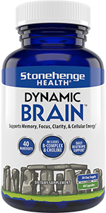 Dynamic Brain