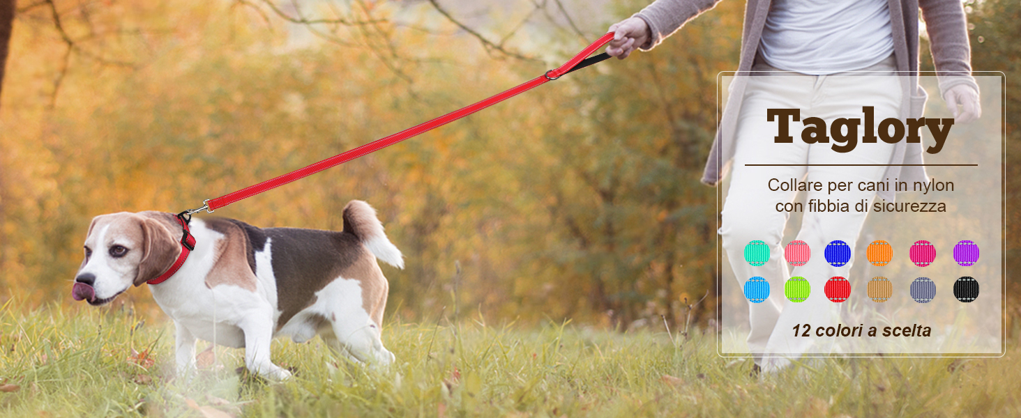 Cane al guinzaglio rosso accanto al carrello della spesa con il marchio «Taglory» e punti colorati. Il testo della borsa indica la personalizzazione del collare con 12 opzioni