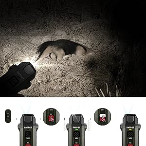 Professional Training Tool