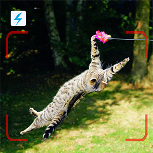 Small manufacture image 6