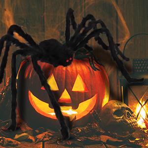 Large Outdoor Spider