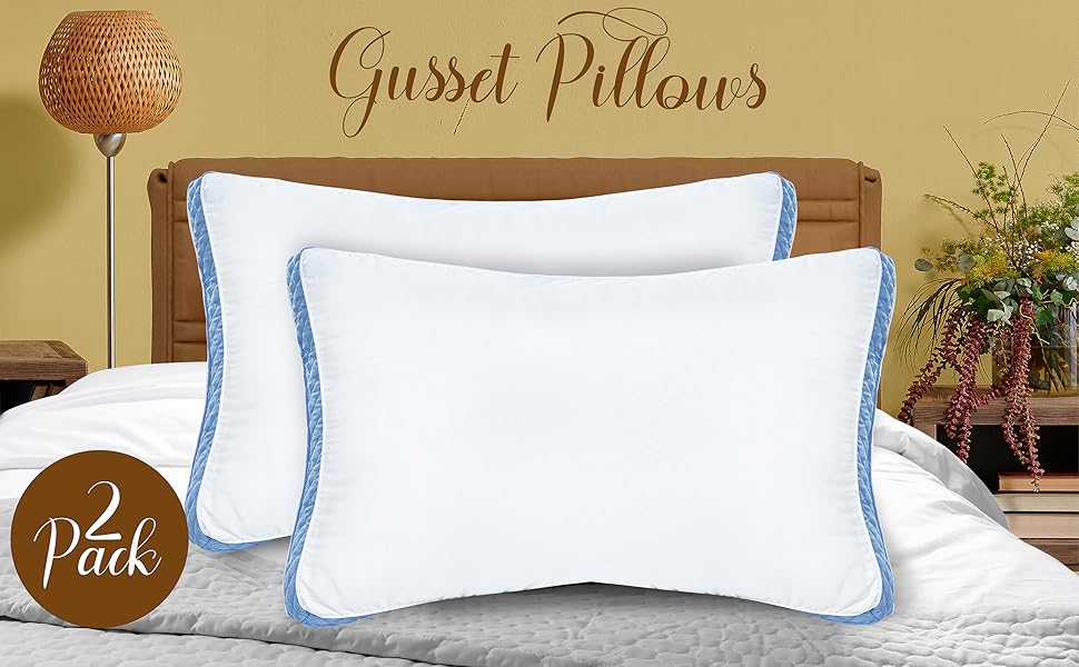 Oakias Set of 2 Gusset Pillows Queen Blue 18 x 26 Queen