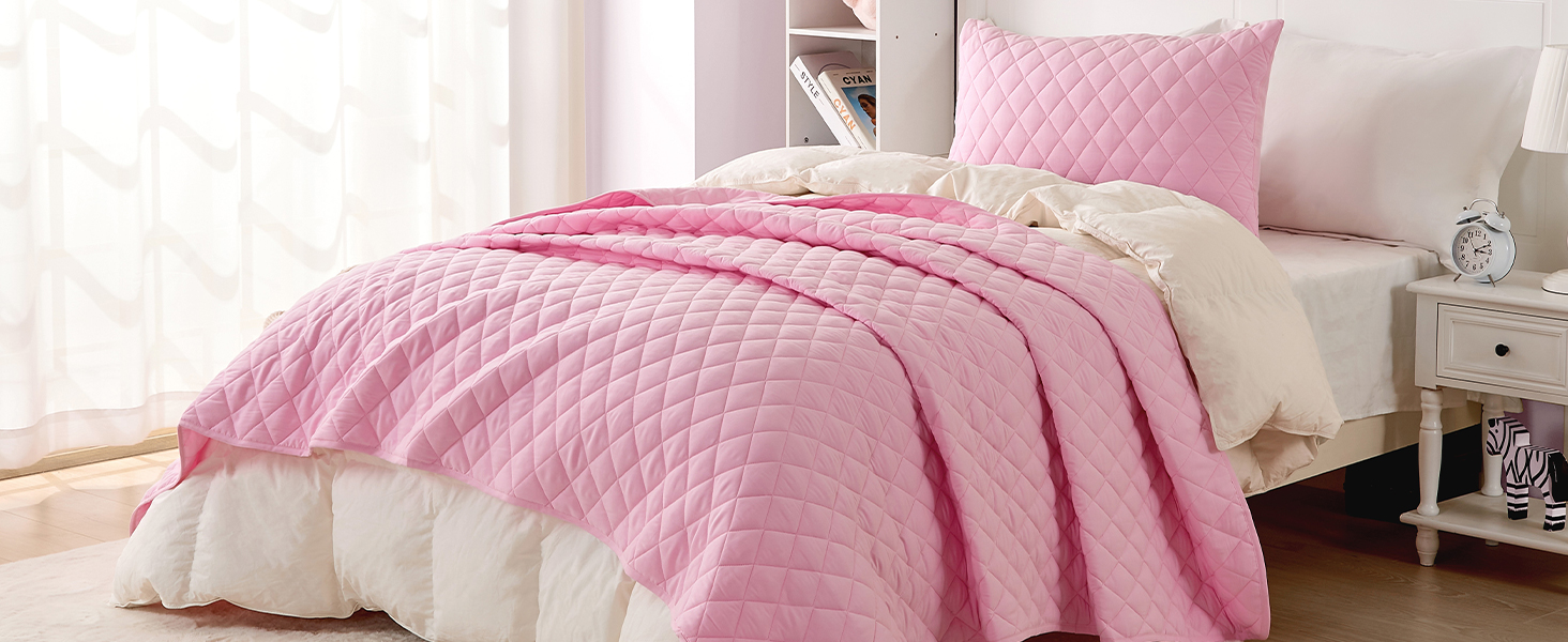 Wowelife 2 Piece Twin/Twin XL Quilt Set Purple for Girls