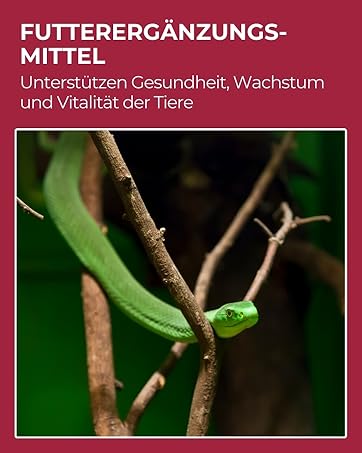 Nahrungsergänzungsmittel