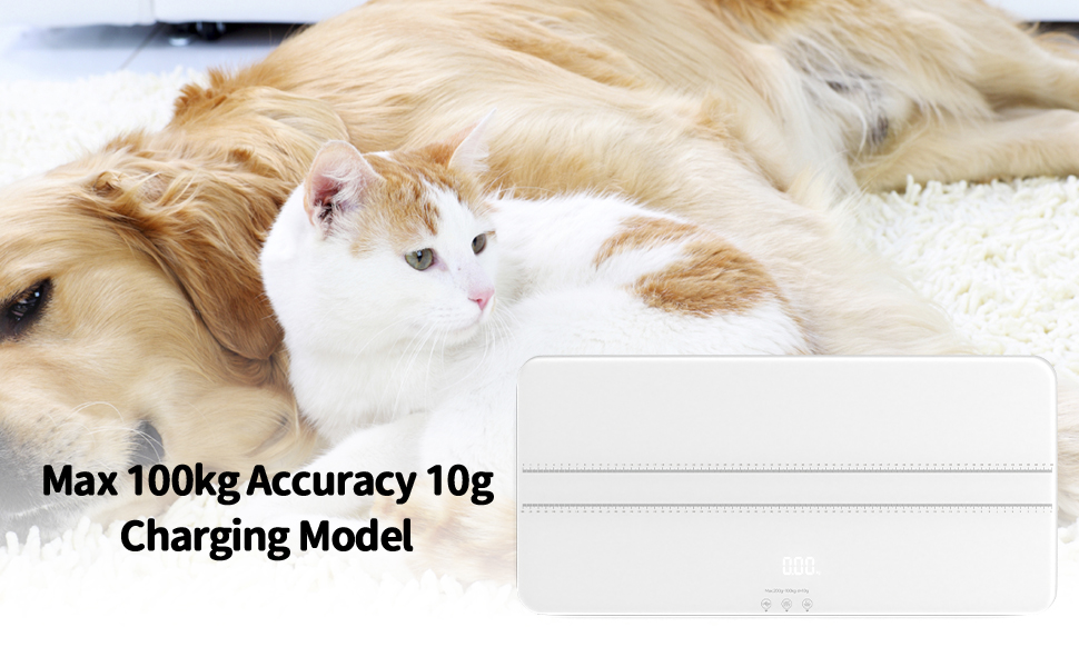 Balance numérique pour animaux de compagnie 