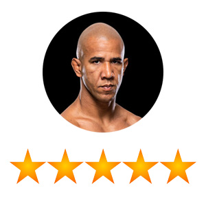5_Star_Jukestir_Review_UFC_Punching_Bag