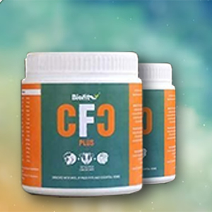 Small manufacture image 1