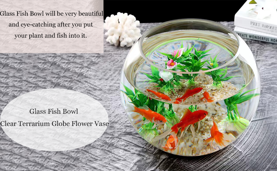 Aquarium Glass Fish Bowl 