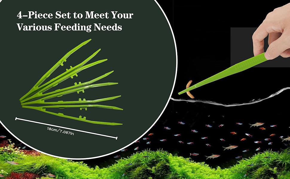 Safe Feeding Tools for Aggressive Reptiles