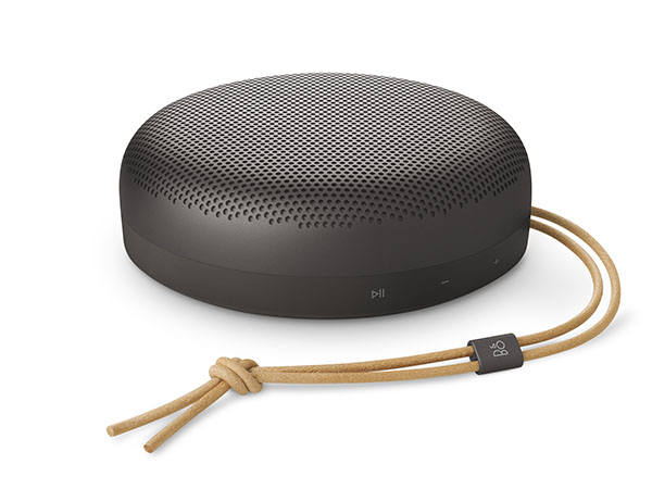 Amazon.com: Bang & Olufsen Beosound A1 3rd Gen Portable