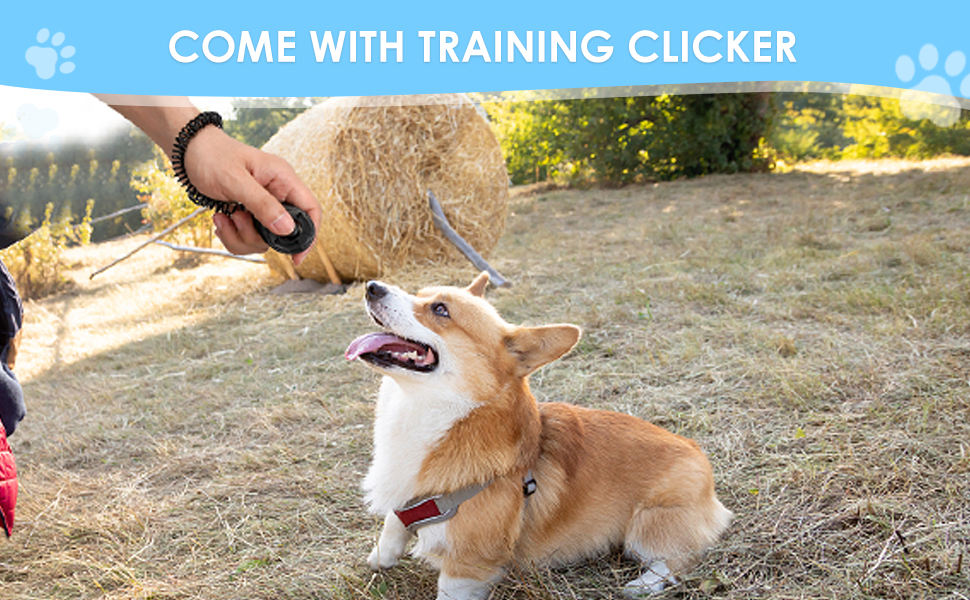 dog training clicker