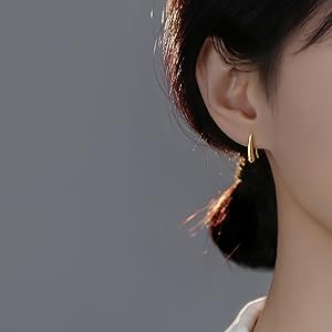 teardrop_earrings_drop_for_women_teen_girls_small_hook_earrings_droplet_earrings
