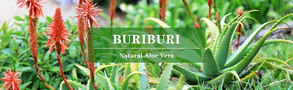 BURIBURI SOOTHING ALOE VERA GEL