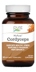 Cordyceps Mushroom Supplement for Immune Support