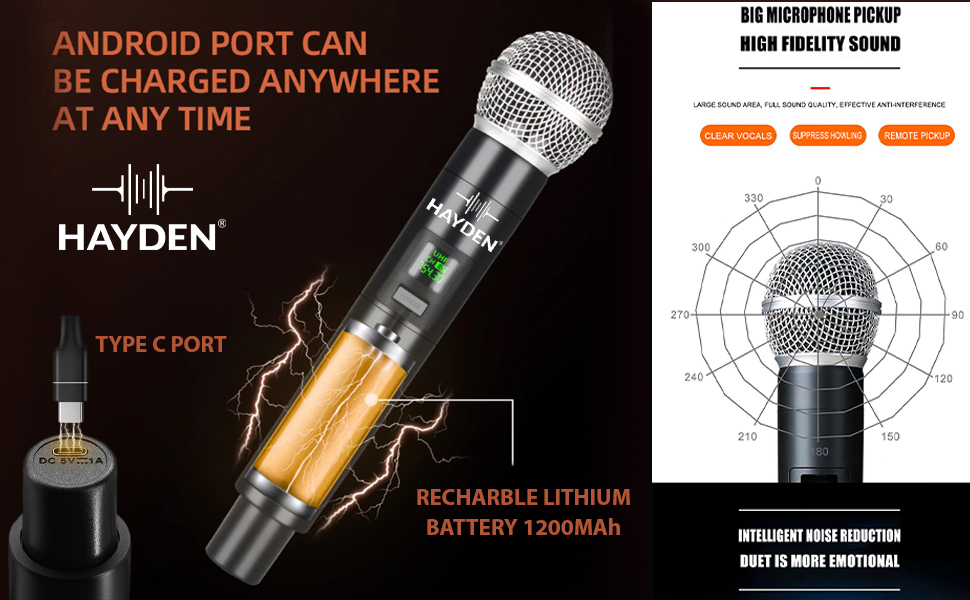 hayden Wireless Mic, Microphone, UHF Karaoke Dynamic mic with Type C Rechargeable Receiver