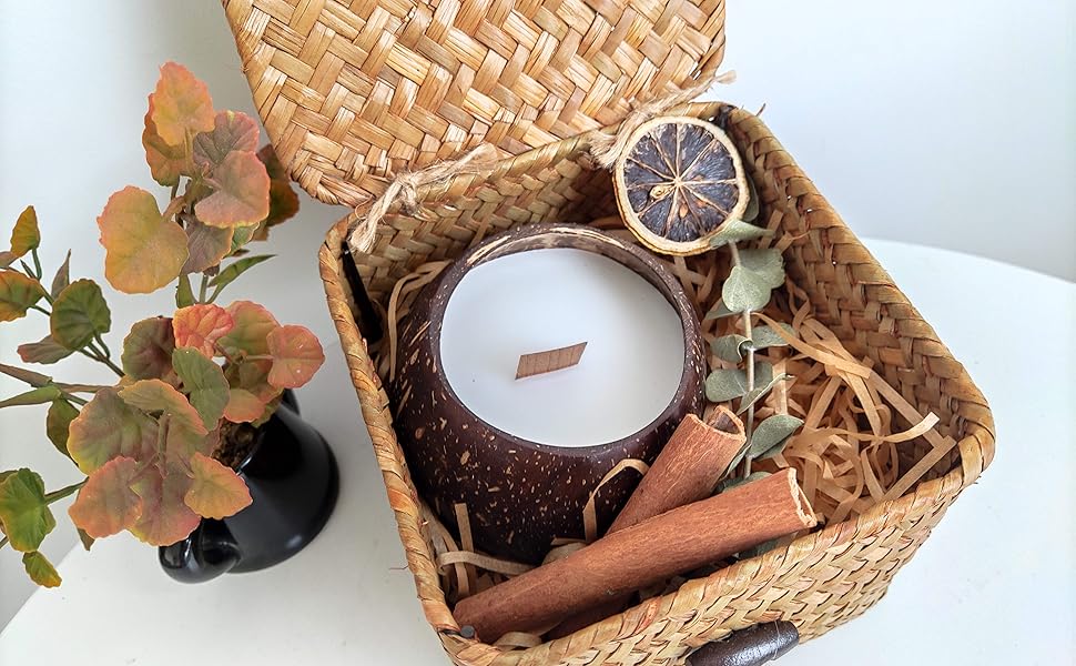 Coconut Candle Set Shell Soy Wax Candles, Coconut Scented in Raffia