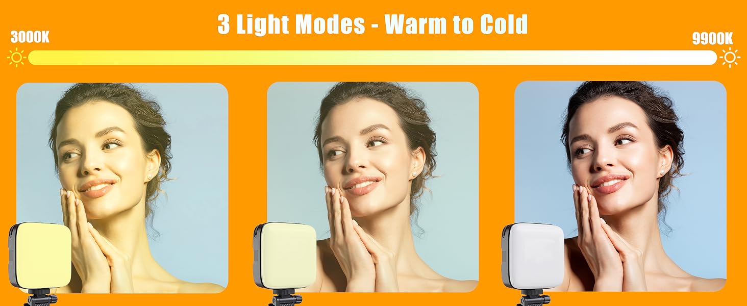 Selfie light
