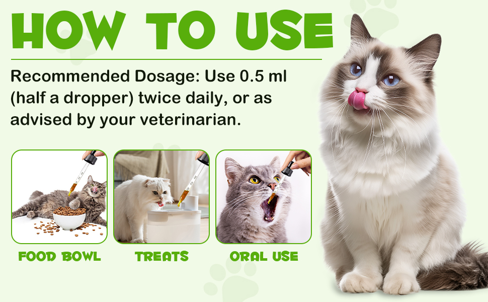 cat probiotics supplement