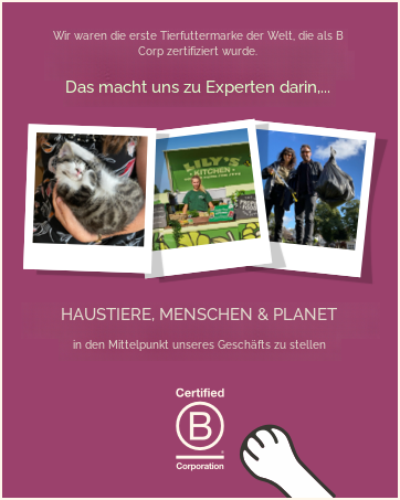 Der Text lautet: „Wir setzen die ersten Testkilometer am Start, die als Gut und perfekt gelten.“ 'Das macht uns zu Experten darin...' 'HAUSTIERE, MENSCHEN UND PLANET'. Violetter Hintergrund mit drei Fotos im Polaroid-Stil, die Haustiere und Natur zeigen.