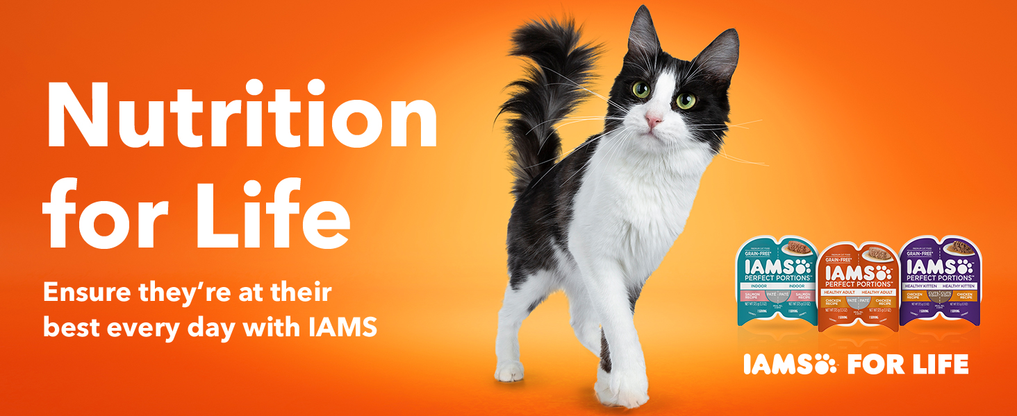 IAMS PERFECT PORTIONS Healthy Kitten Grain Free* Wet Cat Food Cuts in Gravy, Chicken
